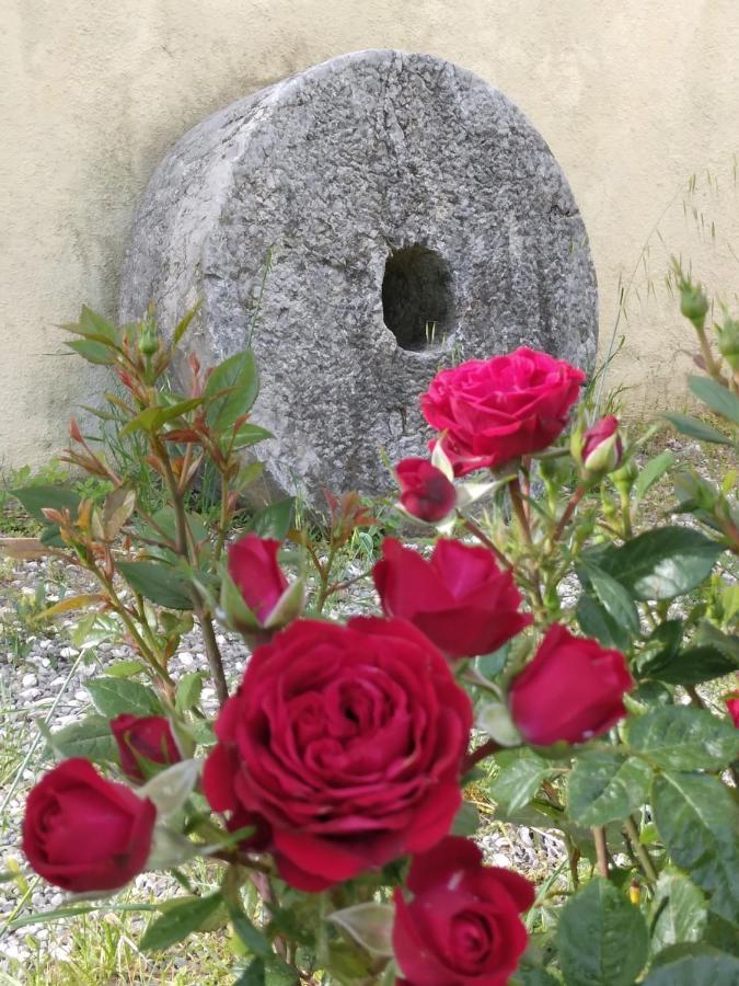 Il Giardino Di Julia B&B Tortora Extérieur photo