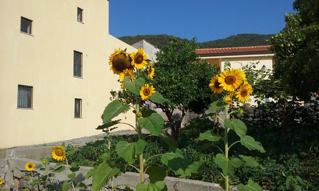 Il Giardino Di Julia B&B Tortora Extérieur photo