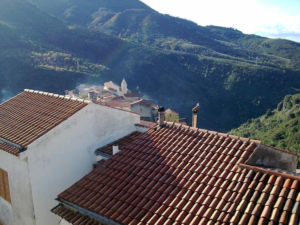 Il Giardino Di Julia B&B Tortora Extérieur photo