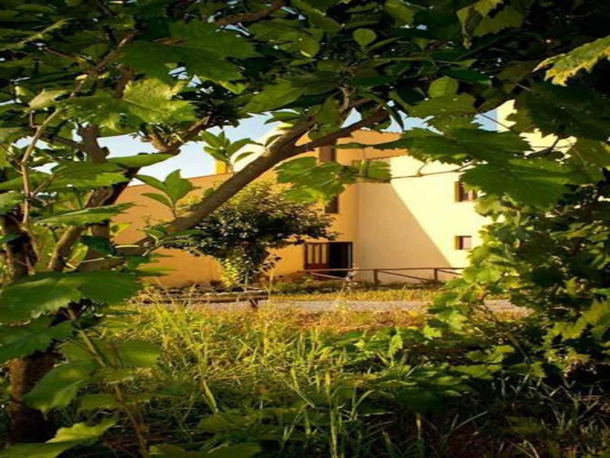 Il Giardino Di Julia B&B Tortora Extérieur photo