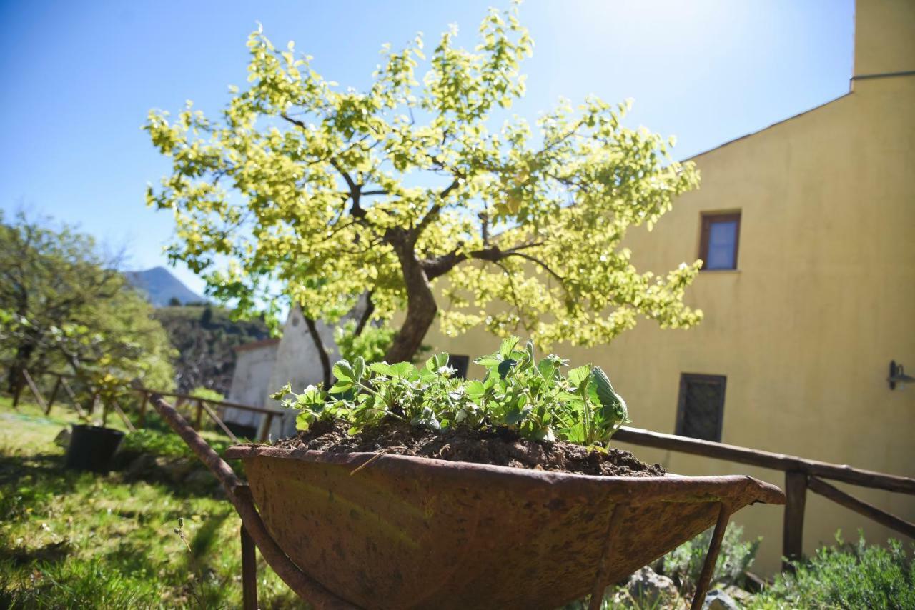 Il Giardino Di Julia B&B Tortora Extérieur photo